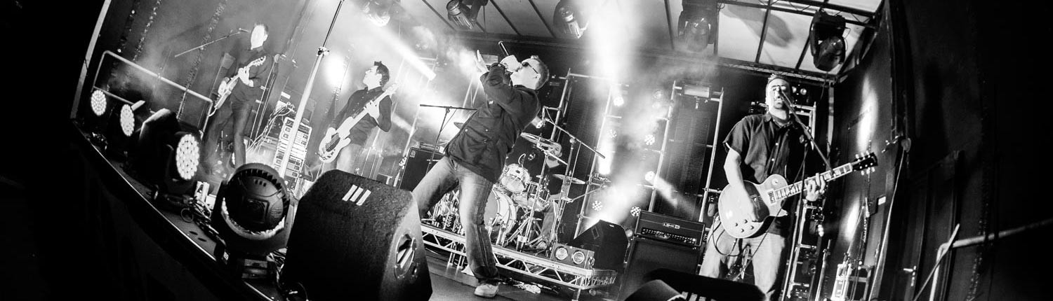 Saturday Night Live - !daft!